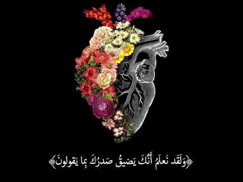 دوا للروح والقلب فرحة حالات واتس اب