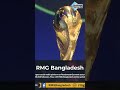 শুধু স্বর্ণ নয়, বিশ্বকাপ ট্রফিতে আছে মূল্যবান পাথরও, এর মূল্য কত | FIFA World Cup Trophy Value