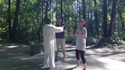 Zhang Zhuang Standing like a Tree HD