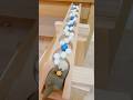 Marble Run ASMR | Full of Marbles! Clattering Sounds & Dump Truck #Shorts #asmr