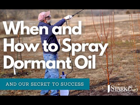 Spraying Fruit Trees with Dormant Oil/Liquid Copper for Overwintering Insects & Disease