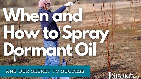 Spraying Fruit Trees with Dormant Oil/Liquid Copper for Overwintering Insects & Disease