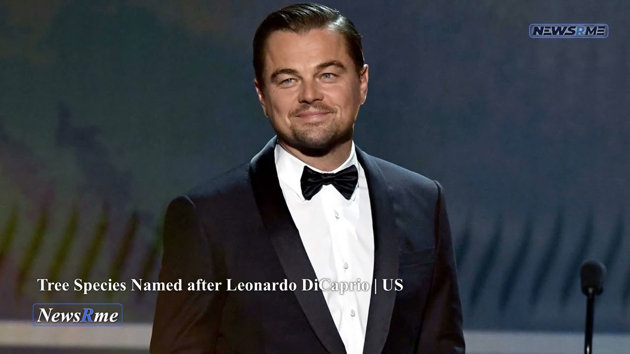 Tree species named after Leonardo DiCaprio | US News | NewsRme