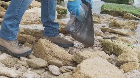 Garbage Collection Stock Video