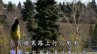鳳飛飛 流水年華KTV