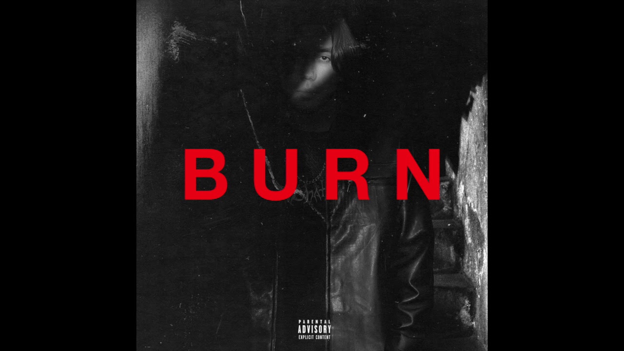 Lidnesty - BURN