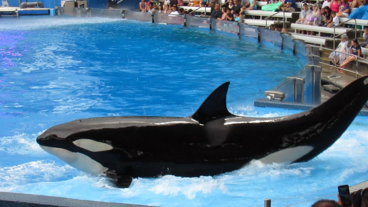 Malia's Belly Spin (5/5/18)