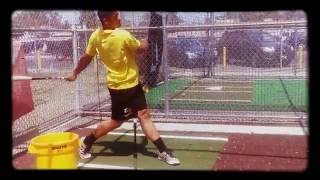 Sandlot batting cage screenshot 4