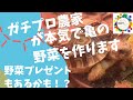 ガチ農家がリクガメの野菜作りを考える!