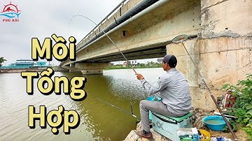 Câu cá tự nhiên | Chia sẻ bài mồi tổng hợp câu được nhiều loại cá khi giao mùa