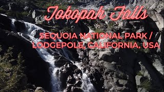 Tokopah Falls - The tallest in Sequoia NP