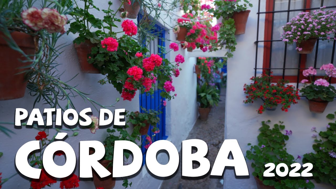Patios de Córdoba 2022, Impresionantes