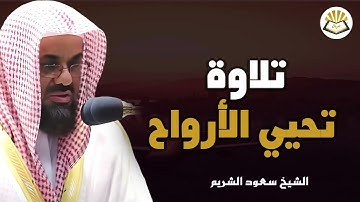 لحظات من الخشوع والسكينة لن تتكرر تلاوة تبعث الطمأنينة للشيخ سعود الشريم
