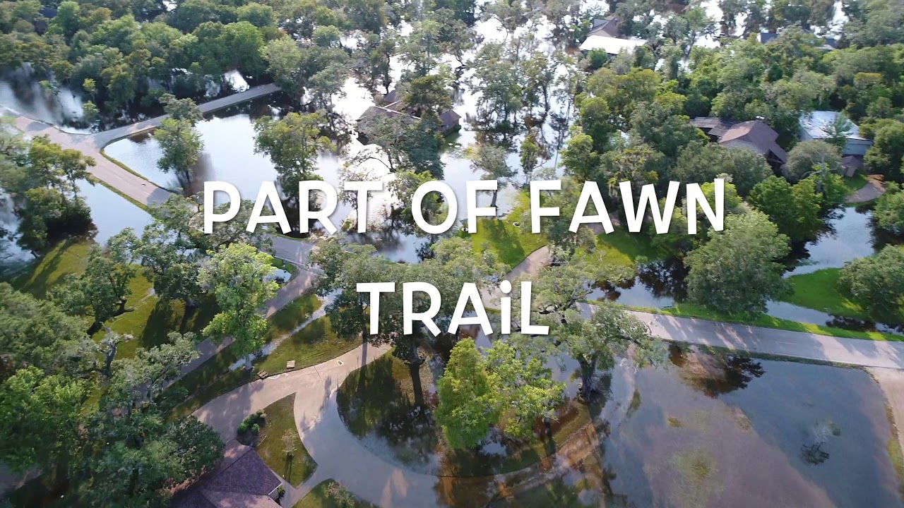 Lake Jackson Farms YouTube