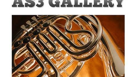 Flash CS4 Tutorial: Simple Non-XML Photo Gallery