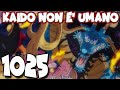 KAIDO NON E' UMANO - ONE PIECE REPODCAST: Capitolo 1025