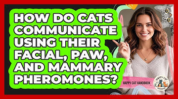 How Do Cats Communicate Using Their Facial, Paw, And Mammary Pheromones? - Happy Cat Handbook