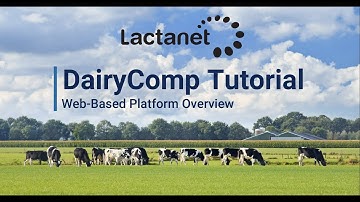 DairyComp Tutorial: Web-Based Platform Overview