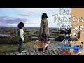 【Gimp Oilify】How to turn photo into oil painting【Easy 4 steps】・Gimp Filter oilify and Apply Canvas