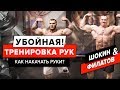 Как накачать руки? | Убойная тренировка рук! | Андрей Шокин и Евгений Филатов [ШОKING]