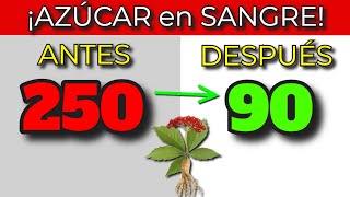 ¡Baja el azúcar en sangre SIN REMEDIOS! | Diabetes tratamiento natural