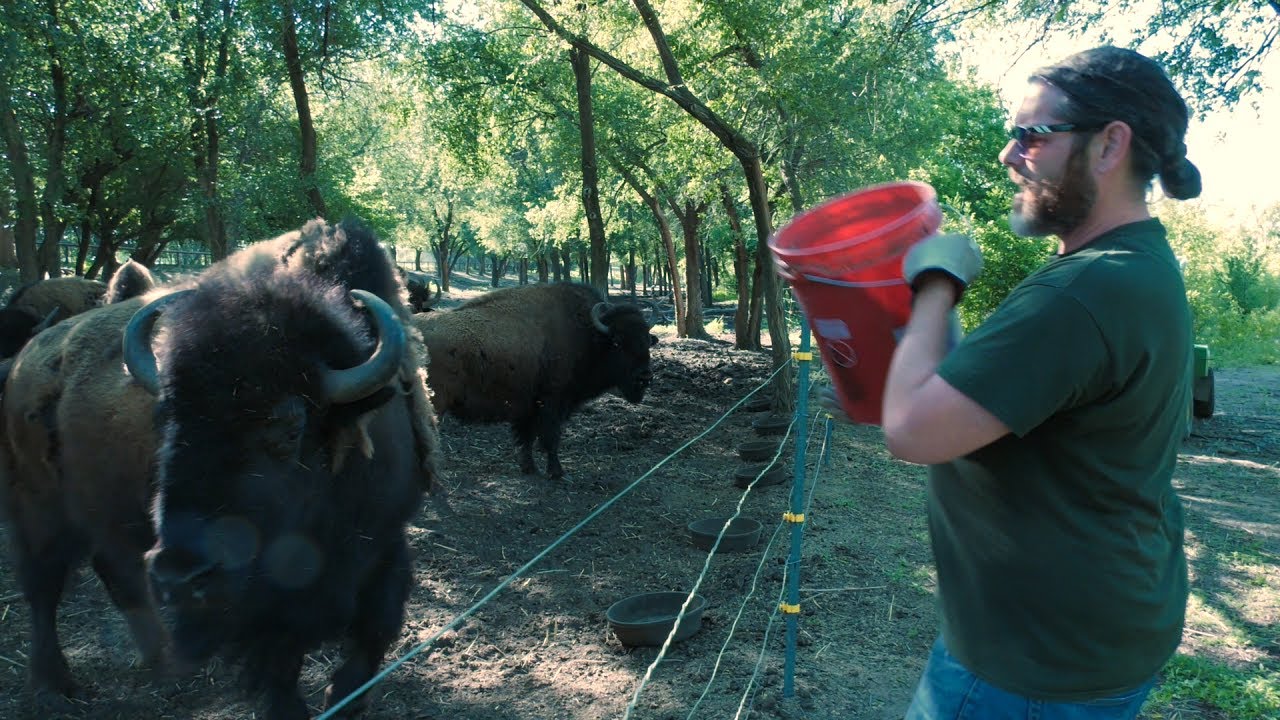 Wild About The Zoo - Episode 11, Feeding the Animals - YouTube