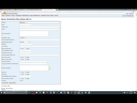 ArcGIS Server 10.x - Return distinct values from query window for Arcgis Rest Services