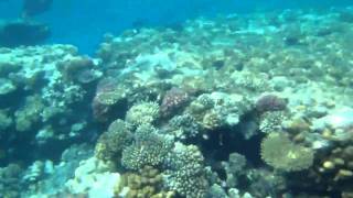 PA030247.MP4