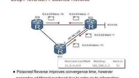 5.3 - Distance vector Routing with RIP