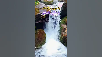 يا مجيب الدعاء يا عظيم الجلال Chorts 