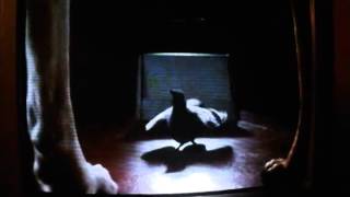 My Favourite Scene From Cats And Dogs 2