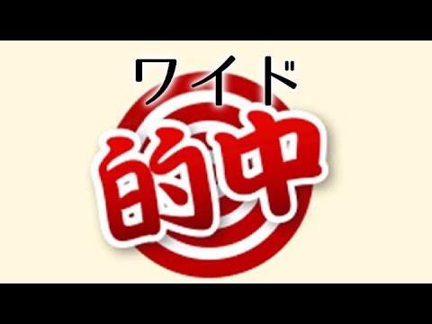 2020年GIII中山金杯の予想🌼