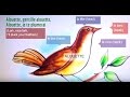 Alouette French Lyrics With English Translation Alouette French Lyrics With English Translation