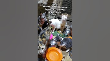 For Any Support Click Our Link In Bio To Help.All Pledges You Make To Support #help