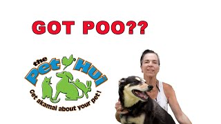 Working with animals Got Poo by The Pet Hui #2 51 views 1 year ago 2 minutes, 17 seconds