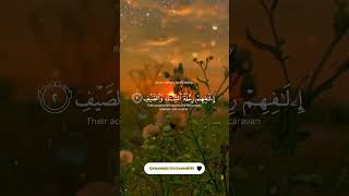 Beautiful Recitation Of Quran surah Quraish ... #islamicstatus #qurantranslation #islamicvideo #duet