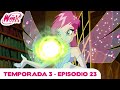 Winx Club Latinoamérica Temporada 3 Episodio 23 El Desafío De Los Magos EPISODIO COMPLETO 