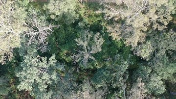 Trackers use UAV during Search and Rescue Training