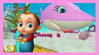 baby shark more fun kids songs baby toonz nursery rhymes