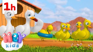 a hundred geese in a row animal songs for kids heykids nursery rhymes