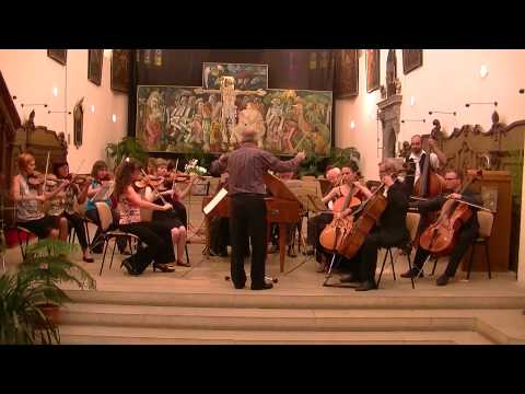 Video: Příběh Orchestru A Dirigenta, Vyprávěný Sám
