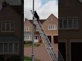 Funny cats
