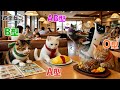 【血液型あるある】 AI猫のファミレスの過ごし方🐱🍽️【四季ねこ】