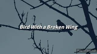 weezer - Bird With a Broken Wing / Subtitulada al Español