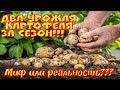 Два урожая картофеля за сезон.Миф или Реальность?