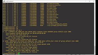 Linux: How to check open ports