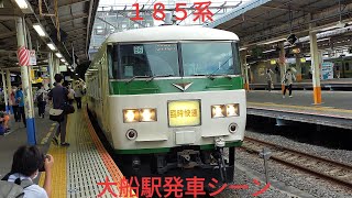 １８５系ホリデー快速あじさい号青梅行き大船駅発車