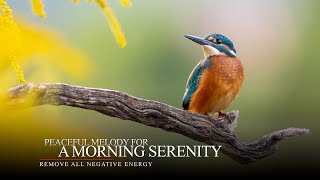 Morning Bliss: Peaceful Melodies for Relaxing Meditation and Positive Energy on a New Day