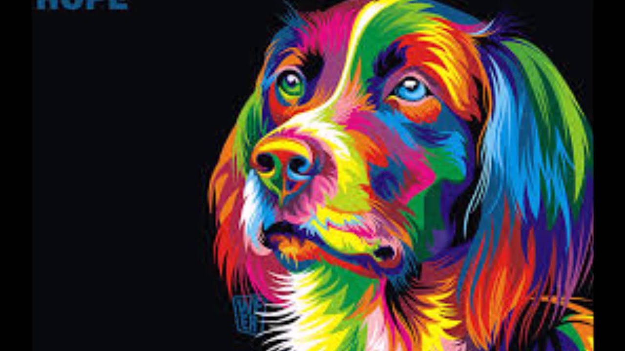 Imagine Animal Color YouTube