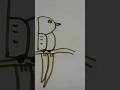 b=bird #shorts #viral